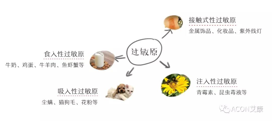 APAAACI 2019 | 深入解讀過敏原：從診斷到治療，優(yōu)化過敏原診斷管理——艾康生物過敏原檢測分會
