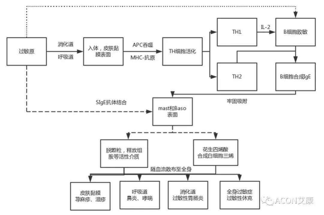 APAAACI 2019 | 深入解讀過敏原：從診斷到治療，優(yōu)化過敏原診斷管理——艾康生物過敏原檢測分會