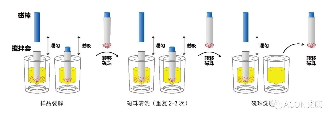 Promotor?核酸提純儀， 讓基因提純更便捷。